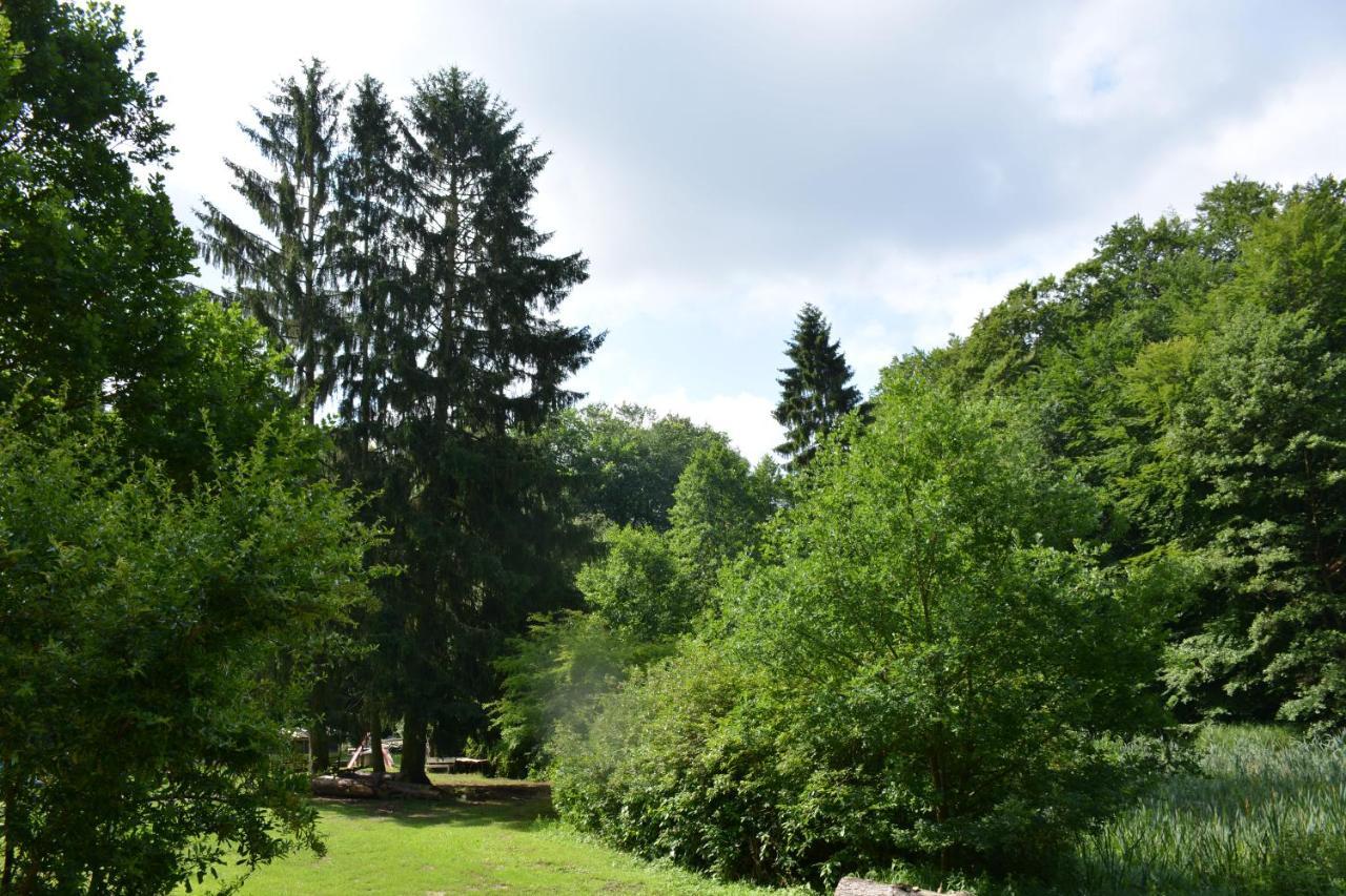 Bungalows Am Waldessaum Bei Hohenzieritz Exteriér fotografie
