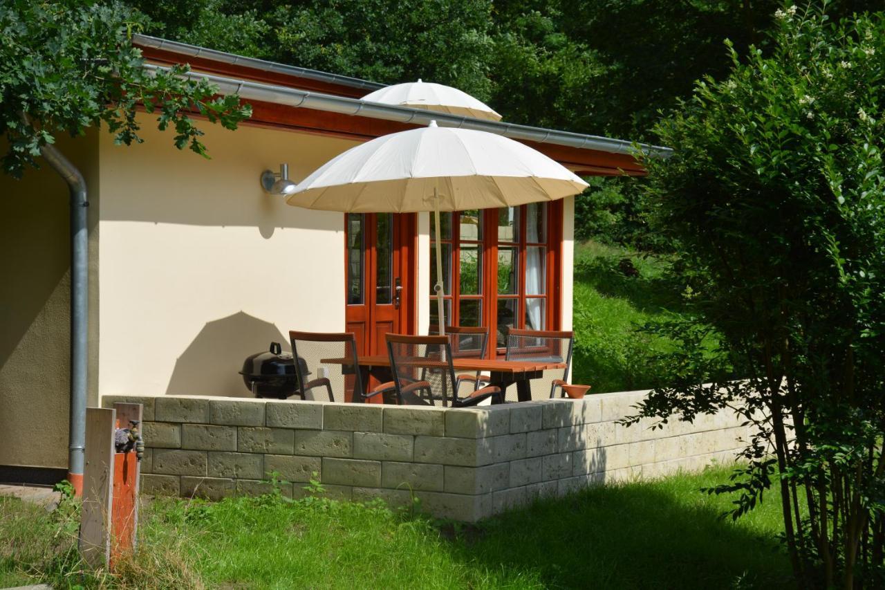 Bungalows Am Waldessaum Bei Hohenzieritz Exteriér fotografie